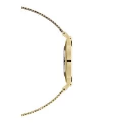 Coupon 🛒 Daniel Wellington Petite Evergold 36 Gold White 💯 -Steens Furniture A/S Verkäufe unnamed file 1266