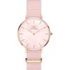 Am billigsten 👏 Daniel Wellington DW00100515 Rosa 🔔